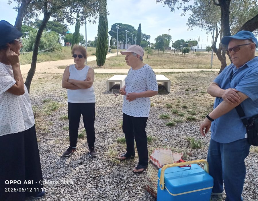 Piquenique 2026