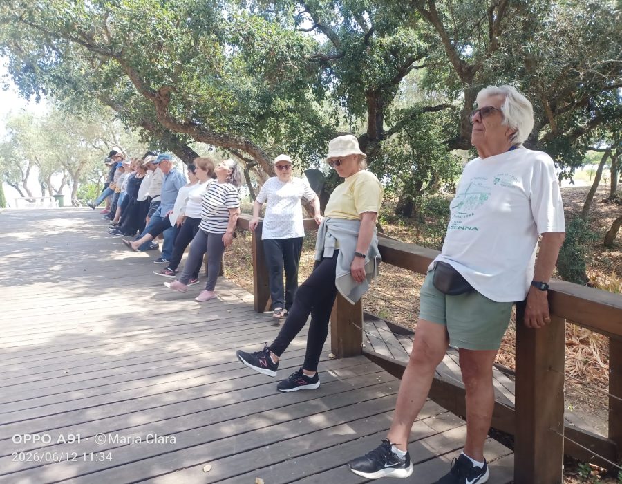 Piquenique 2026